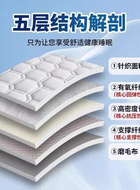 加厚人四季铺底软垫床520垫家用学生宿舍海子单双人褥垫子绵垫榻