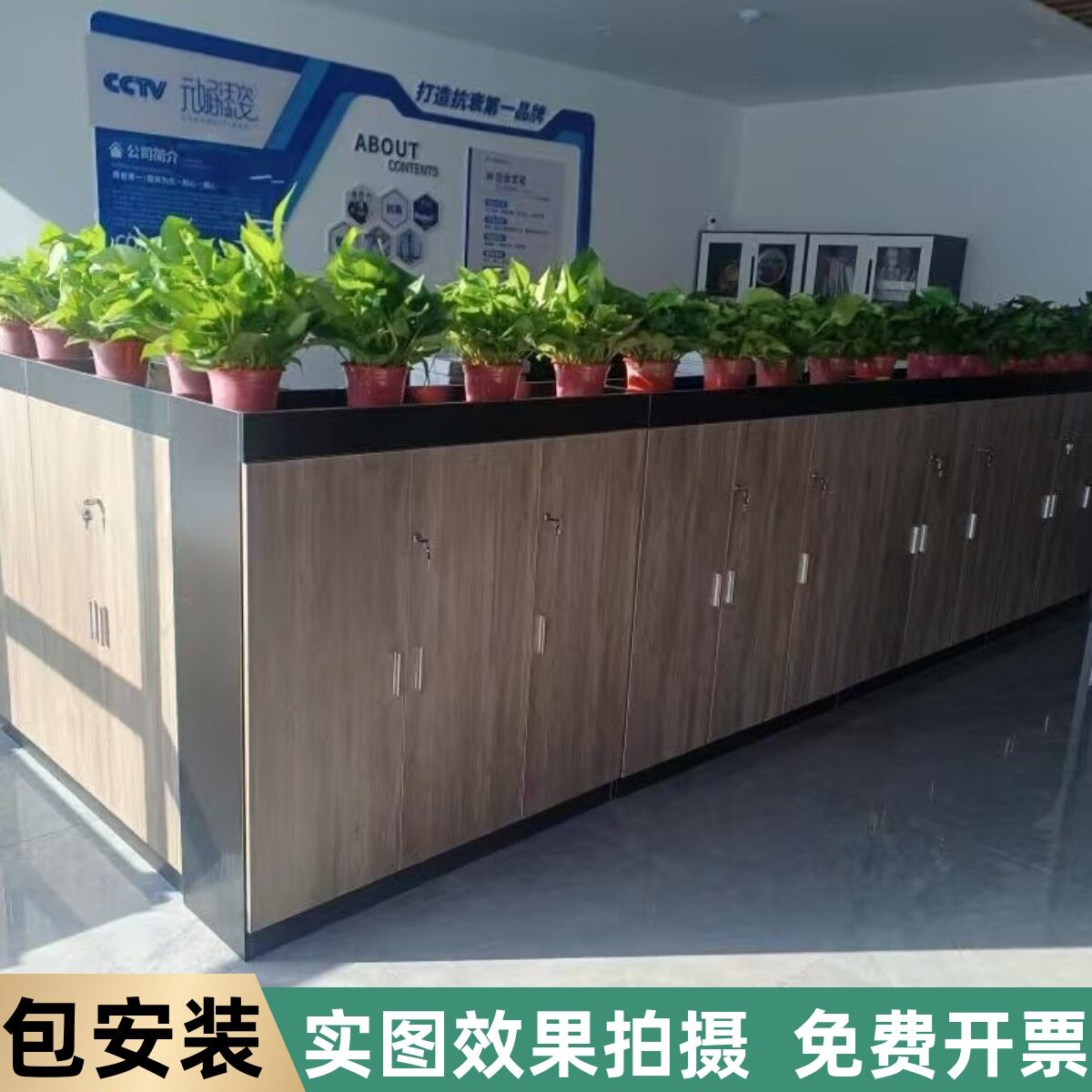 办公室绿植遮挡储物矮柜