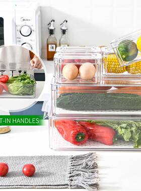 新品箱收纳盒10件套蔬菜冰果明沥水UDY保鲜盒杂粮食物透冰箱水收