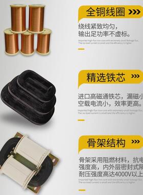 V乐稳R型4R260变压器300w输出TBX双530v1v9v全铜220前级100v2v36v