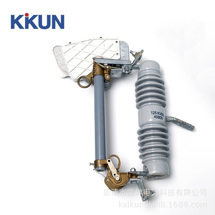 专业厂家生产NCX-12/100A熔断器高压跌落式熔断器