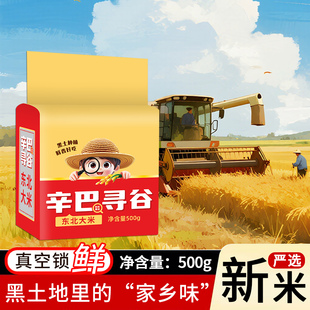2025年新米东北大米500g圆粒米10斤珍珠米5斤辛巴寻谷0.5kg真空装