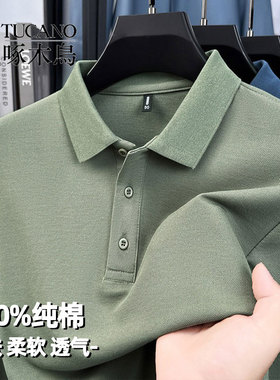 啄木鸟男士长袖纯棉T恤春秋季新款翻领商务休闲中年纯色Polo衫男