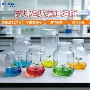 茉钡特生物 玻璃瓶组培瓶 耐高温350/650培养瓶菌种瓶含透气盖
