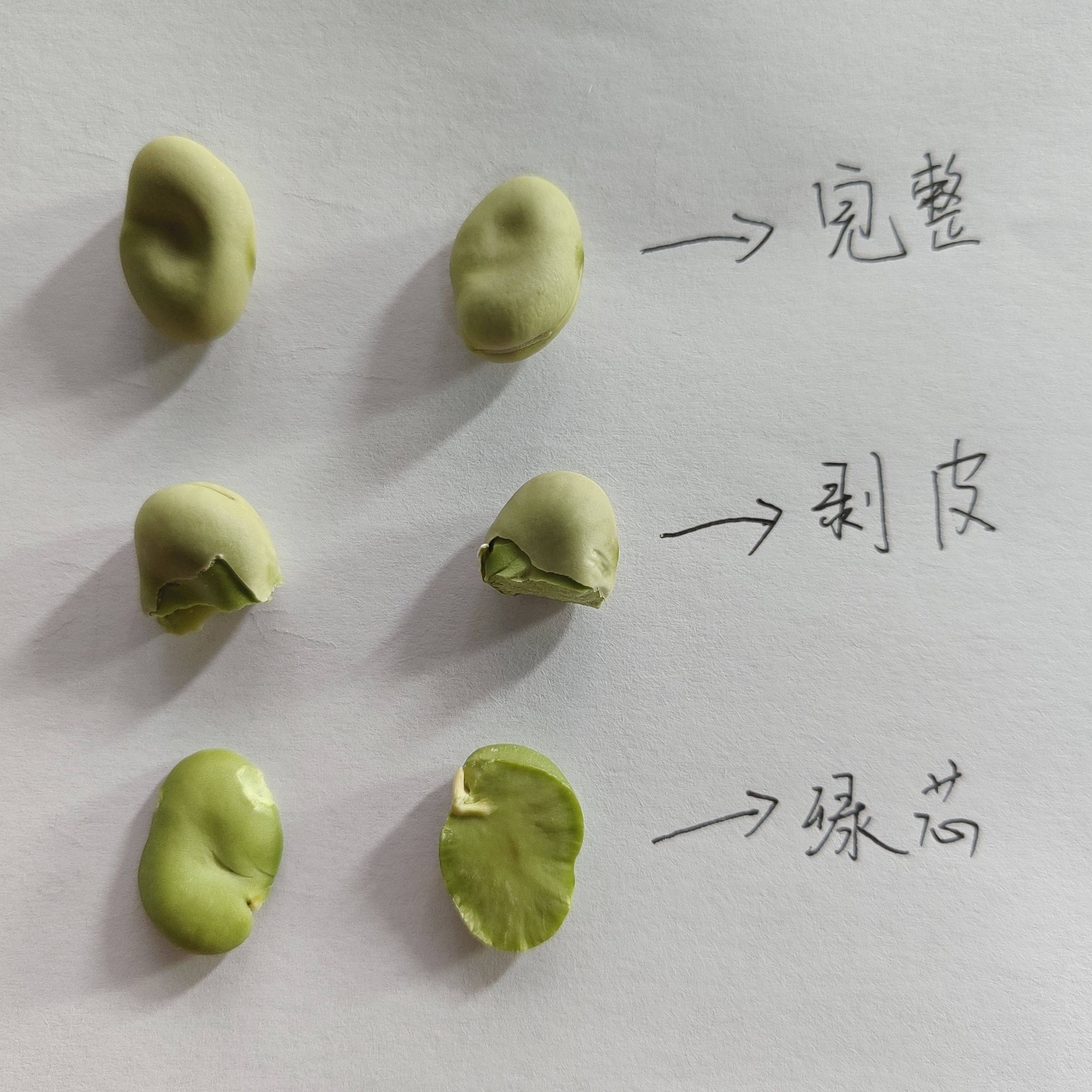 （干蚕豆）云南保山小绿豆透心绿蚕豆晒干包邮小颗粒干蚕豆生的