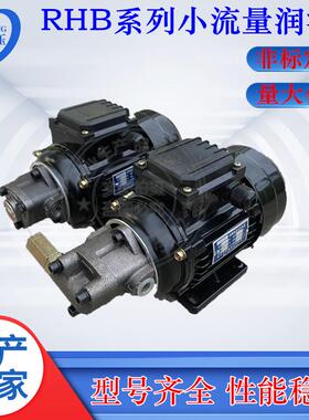 便携式RHB-2.5JZ1.64JZRHB-3.15JZ打头机小流量润滑泵电机装置