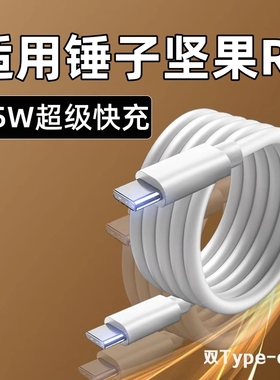 适用锤子坚果R2充电器65W超级快充双头Typec数据线DT2002C手机闪充PD插头CtoC坚果R1充电线pro3/2/2s快速充电