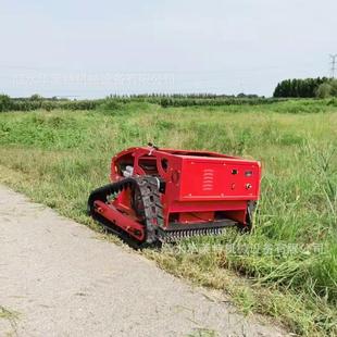 庭草坪除 汽油杂斯院草BHH修剪机 基坦农场用巴遥控割草机 履带式