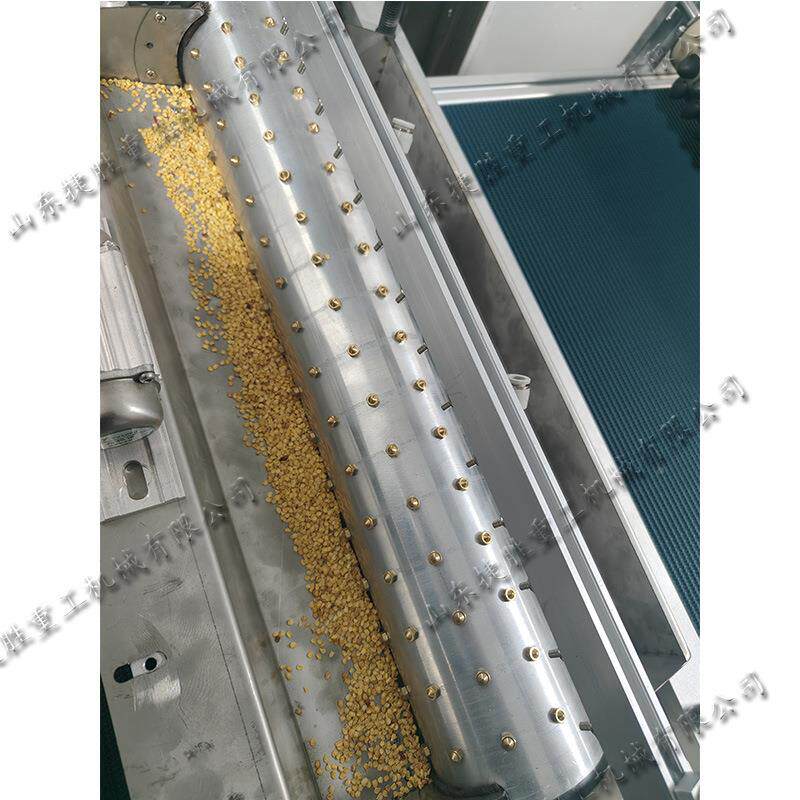 全自动滚筒式育苗播种种机种蔬菜育AHP苗穴盘哦点播机药材种育秧