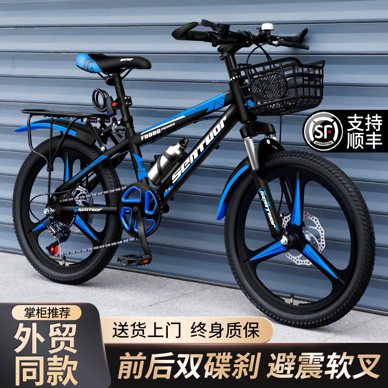 云彩捷安特选儿童山地车儿童变速山地单车20寸小学生骑乘 碳钢车