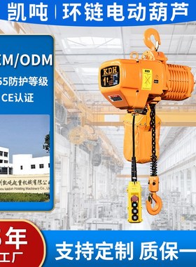 环链电动5芦38k0V链条提升葫机T固定式葫芦户外起重机EQ款