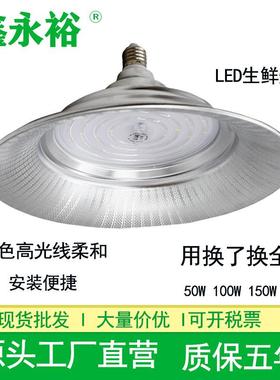 鑫永裕LED生鲜灯50W100W菜市场卖猪肉摆摊水果熟食白光专用生鲜灯