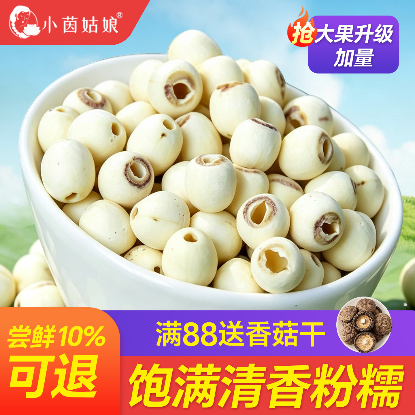新鲜莲子米干货正宗湘潭无硫去芯磨皮红白莲520g湖南特产湘莲百合