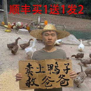 顺丰发2只土鸭麻鸭雁鸭农家散养水鸭整只鸭肉新鲜现杀鸭子生鲜