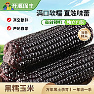 首单+礼金东北黑糯玉米220g*3只