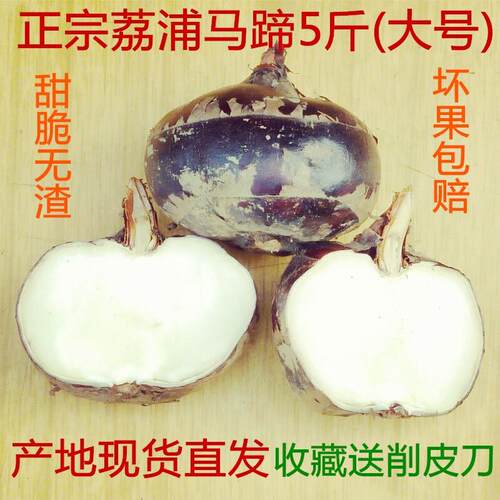 9年老店特大荔浦马蹄新鲜即食水果蔬菜甜脆荸荠广西桂林有机特产