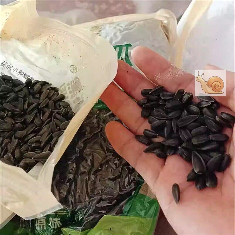 脆小黑内蒙古黑珍珠小油葵毛嗑葵花籽小瓜子炒货瓜子原味五香