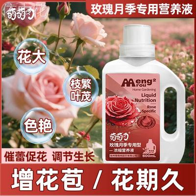玫瑰月季专用营养液改善叶黄多发新叶调节身生长增加花期促进开花