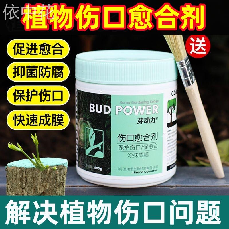 植物伤口愈合剂大树木果树树枝景树剪枝树桩树皮嫁接切口修复涂抹