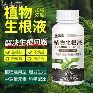 室内盆栽植物快速浓缩生根液通用型花卉强力水培绿植园艺生根剂