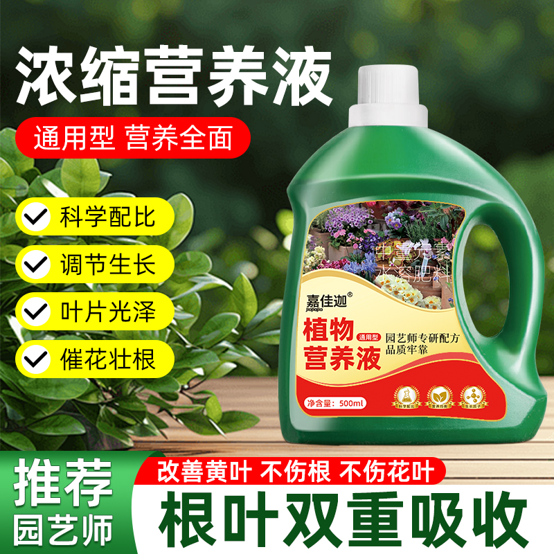 营养液养花卉绿萝多肉富贵竹浓缩水培绿色植物通用型养花肥料花肥