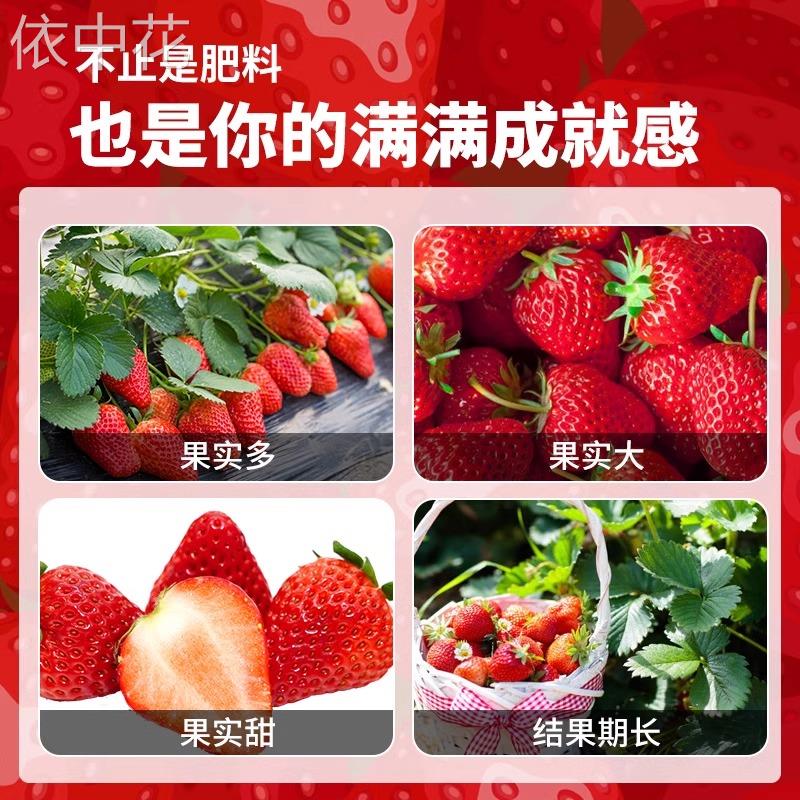 草莓肥料专用肥家用盆栽有机肥料植物营养液通用型坐果期促果增大