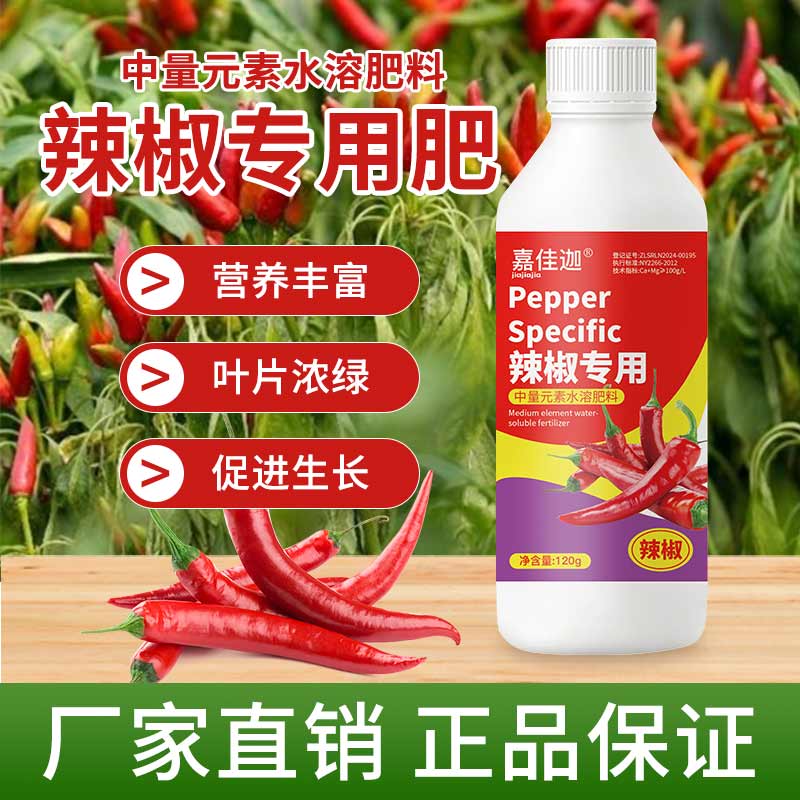 辣椒猛涨辣椒青椒长得快提苗暴涨液促生根线椒生长营养液肥料