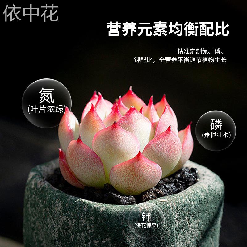 植物营养片通用缓释肥氮磷钾有机家用花卉绿植多肉盆栽控释催花肥