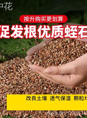 包邮园艺蛭石颗粒土珍珠岩铺面月季扦插养花专用营养土龟蛇蛋孵化