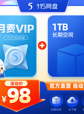 115网盘 月费VIP 含1TB空间 自动充值到账 专享提速通道