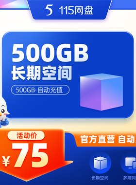 115网盘 500GB空间扩容 超值容量 长期有效 不包含VIP服务