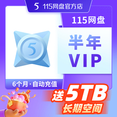 115网盘 半年VIP6个月含5TB空间【订单备注填写纯数字充值账号】
