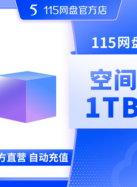 115网盘1TB空间扩容 超值容量 长期有效 不包含VIP服务 自动充值