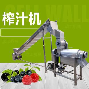 商用KQV红洋榨葱榨机 汁鲜姜洋姜粉碎榨汁机 黄精大蒜破薯碎汁机