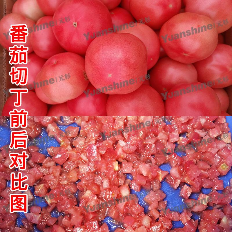 源食品机厂家青木瓜头切丁械机 洋山芋BTT切丁切机 酸木瓜丁机