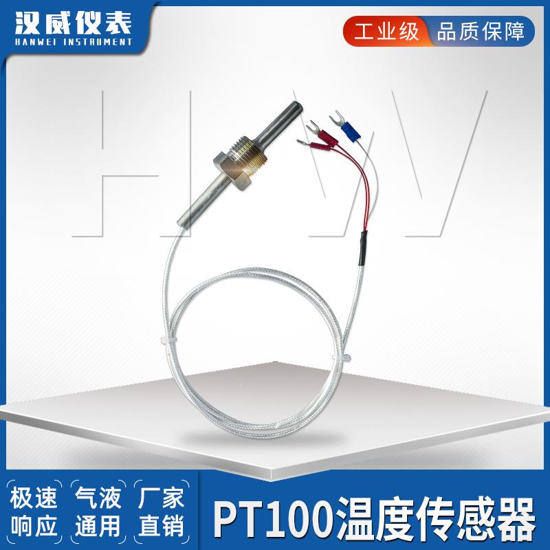 P10T0温度传感器铂热电阻偶精密ZWP电-pt100探头式防腐防水型WZP-