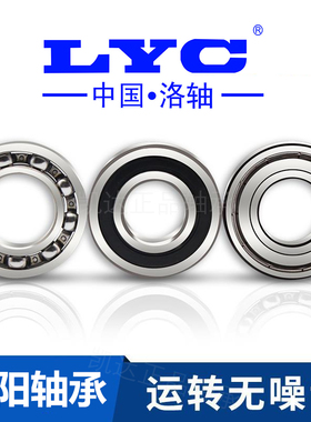 洛阳LYC轴承 6307 6308 6309 6310 6311 6312 6313 E-2Z 2RZ/S