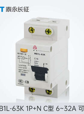 MB1L-63K漏电保护开关AC型32/16TYT泰永长征长九50A10A1P+N断路器