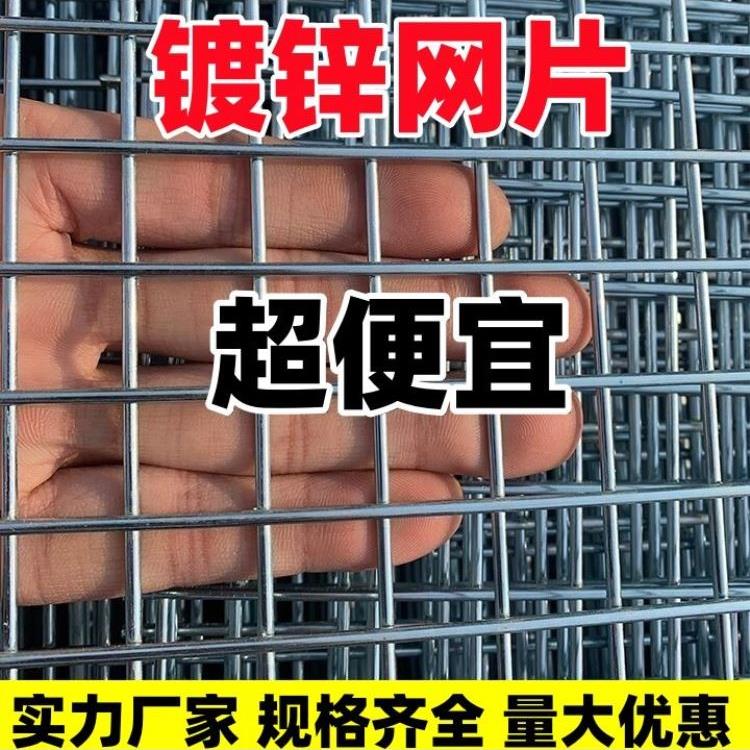 镀锌铁丝网铁网格网片加粗养殖网围栏电焊铁丝网围栏镀锌鸟笼网片