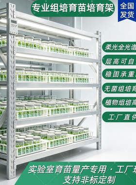 冷轧钢组培架植物光照培养架实验室育苗架室内一体式种植照光架