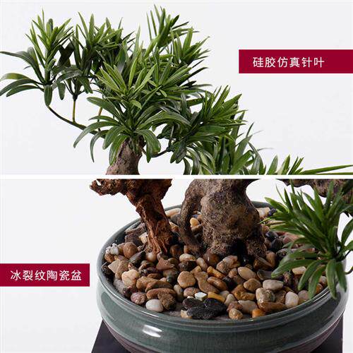 新中式盆景迎客松茶桌摆件酒店博古架绿植玄关案几茶台造景装饰品