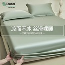 2025新款 冰丝床笠夏季 天丝单件凉感裸睡夏天床罩三件套床垫保护罩