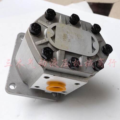 齿轮泵CBN-F320 CBN-F325 CBN-F532 CBN-F550液压齿轮泵