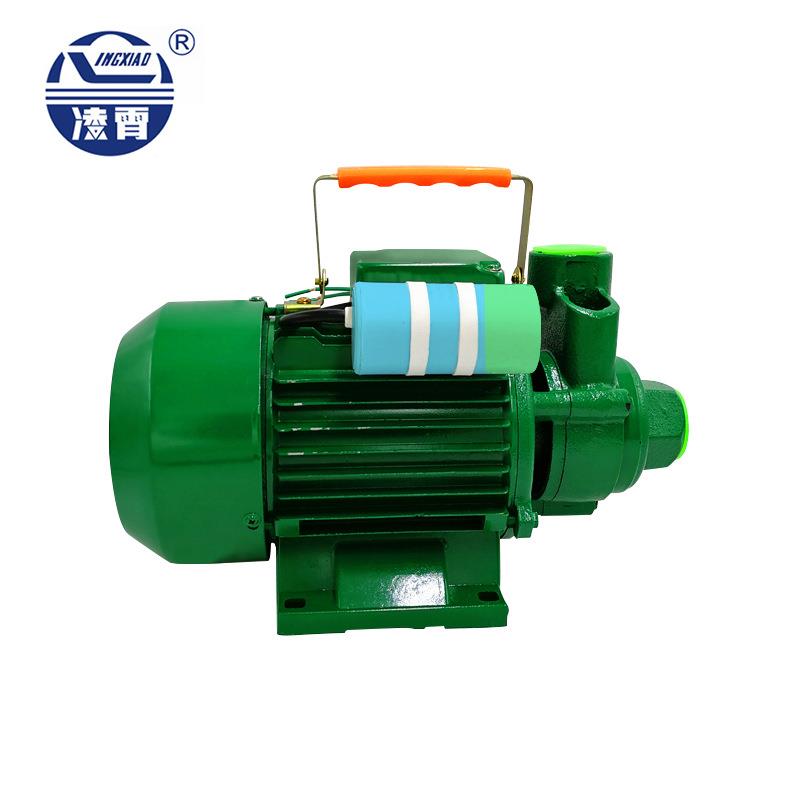 广东凌霄水泵1DB35/45/65家用自吸清水泵增压泵220v抽水机