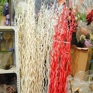 饰简约时尚 白树枝干树枝干花摆放装 龙柳曲柳三叉叶干支柳条 龙桑