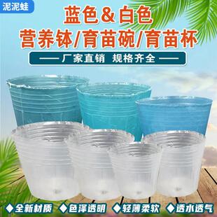 蓝色营养杯育苗碗育苗杯营养碗瓜苗育苗杯蔬菜苗杯碗加厚型营养钵