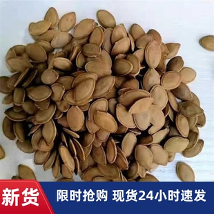 -零食物语湿南瓜子卤汁五香水煮卤味袋装炒货休闲零食