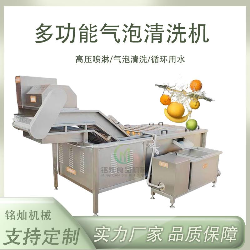 中药材气泡清洗设备红枣辣椒果蔬气泡清洗机全自动气泡清洗机