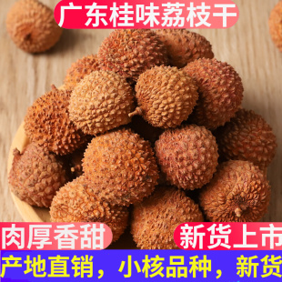 特级桂味荔枝干2024新货广东广州特产无核小核肉厚从化干荔枝