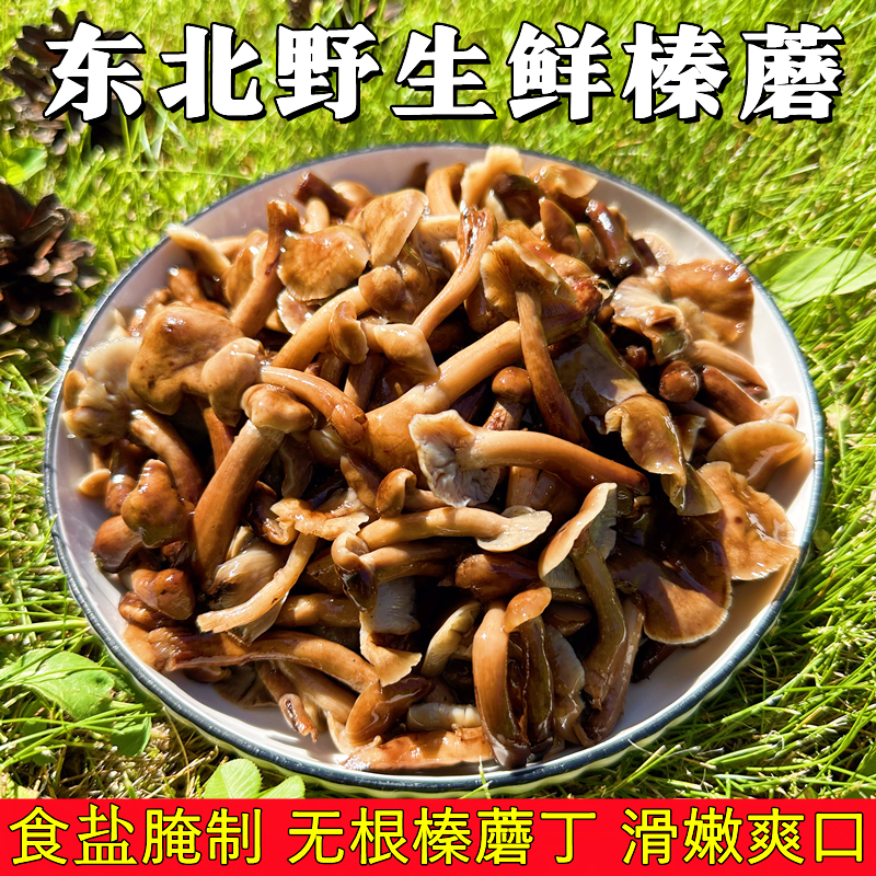 新鲜榛蘑东北野生蘑菇焯水后腌制咸蘑菇不含水无根山珍食用菌特产